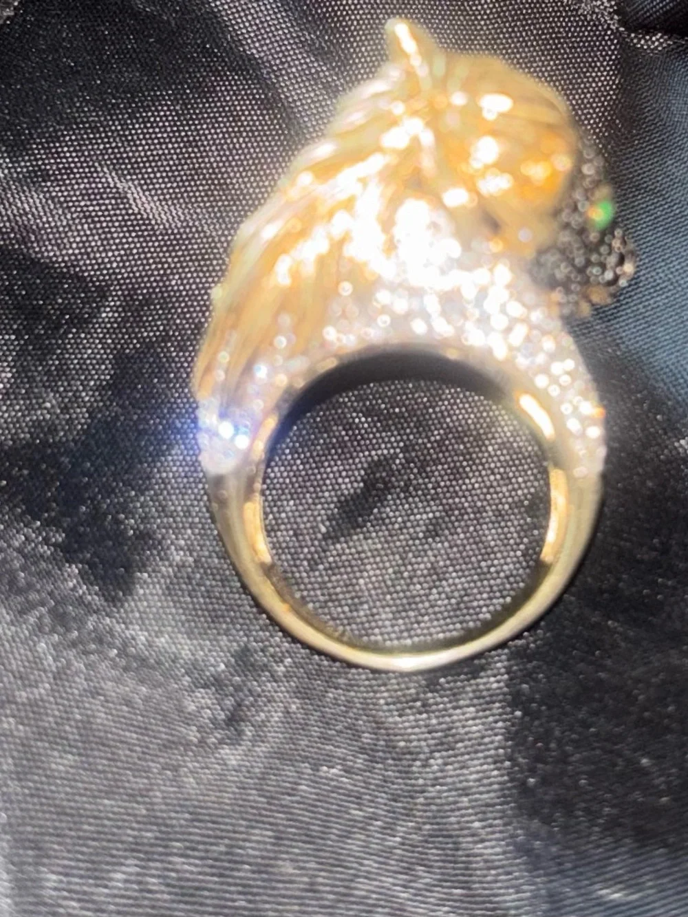 Equestrian horse ring